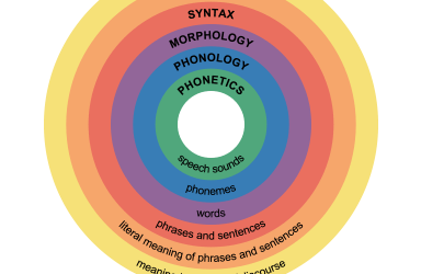 The Structure of Language