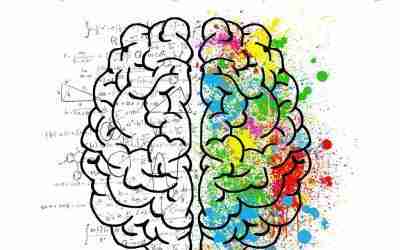 The Misinformation Effect